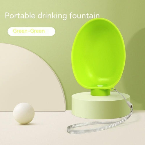 Portable Dog Drinking/ feeding Bowl