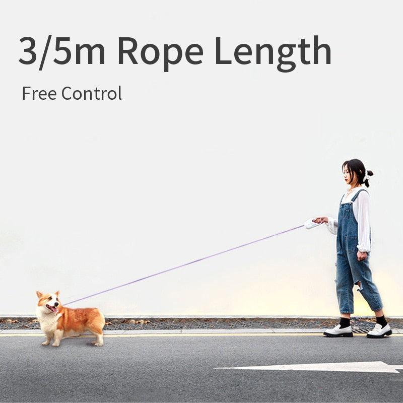 Automatic Retractable Leash with Lighting