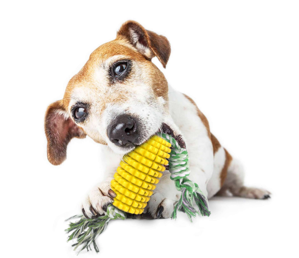 Periuță de dinți in forma Stick de porumb pentru animale de companie