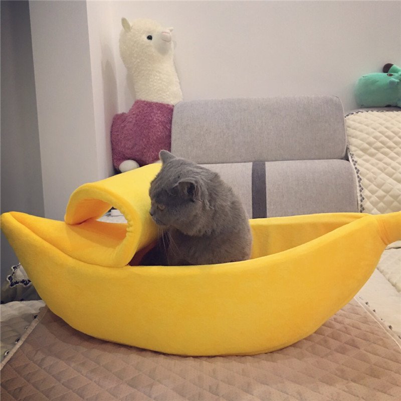 Banana Cat House