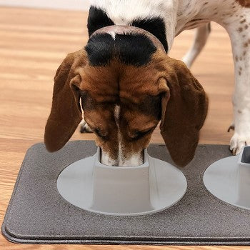 Ear-Clear — Stație de hrănire pentru animale de companie 